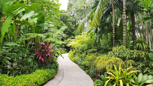 Discover the Fascinating World of Tropical Plants: Your Ultimate Guide to Greenery and Aesthetics