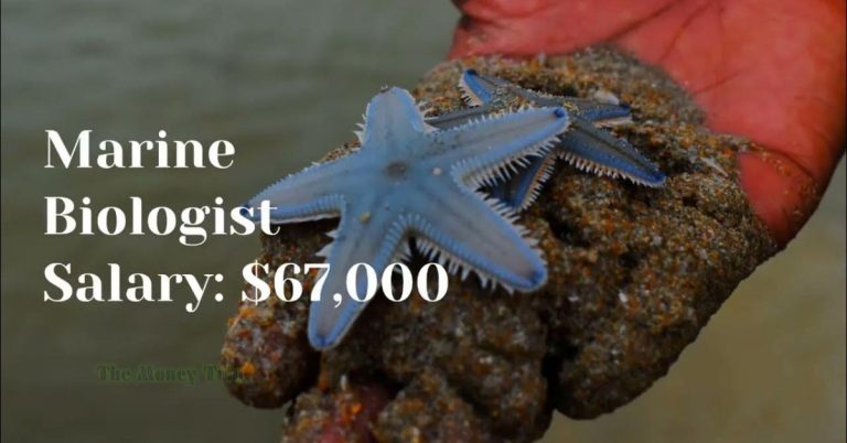 Marine Biologist Salary: What You Need to Know for a Rewarding Oceanic Career