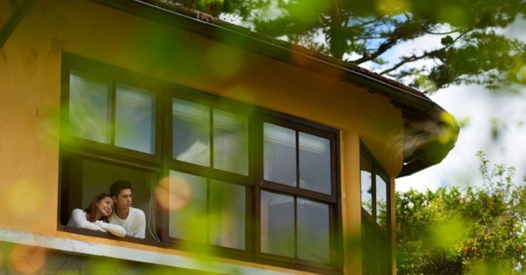 Innovative Green Roofing Solutions for a Sustainable Future