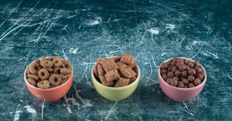 Discover the Benefits of CBD Chews for Dogs: A Natural Way to Support Your Pet’s Well-Being