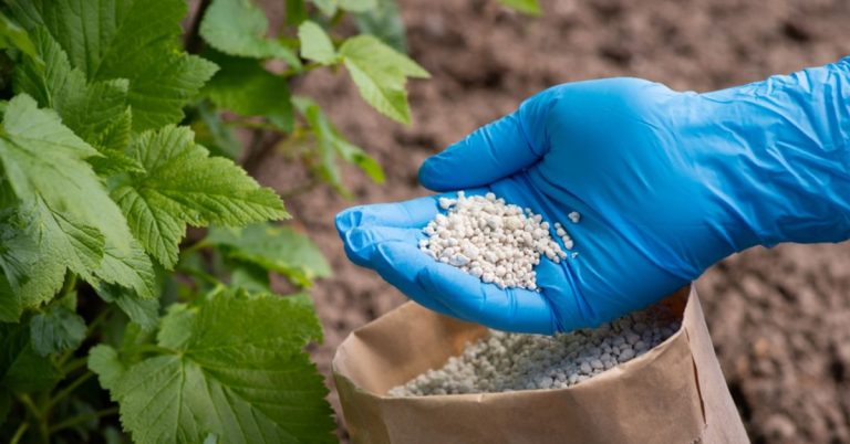 Maximizing Crop Growth: Essential Tips for Better Yields and Sustainable Farming