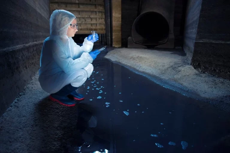 Essential Guide to Crawl Space Restoration: Protect Your Home and Boost Efficiency