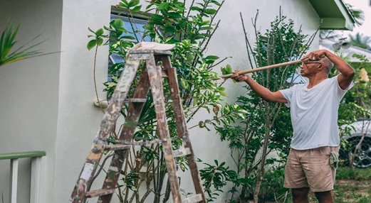 Transform Your Home with Effective Exterior Upgrades to Boost Curb Appeal and Value