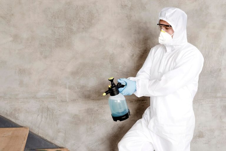 10 Warning Signs of Mold Toxicity: How to Protect Your Health from Hidden Dangers