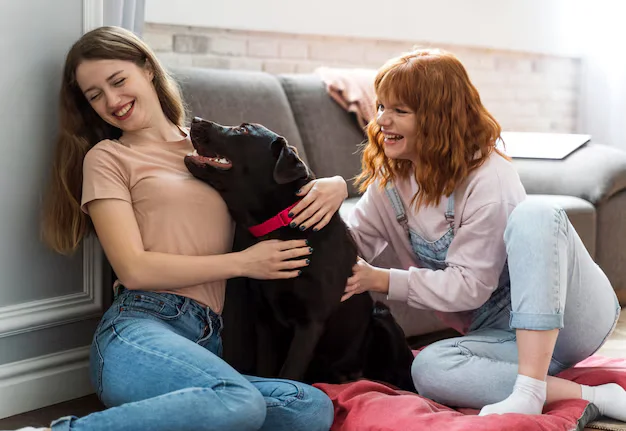 Animals Help People: How Our Furry Friends Make a Difference in Lives